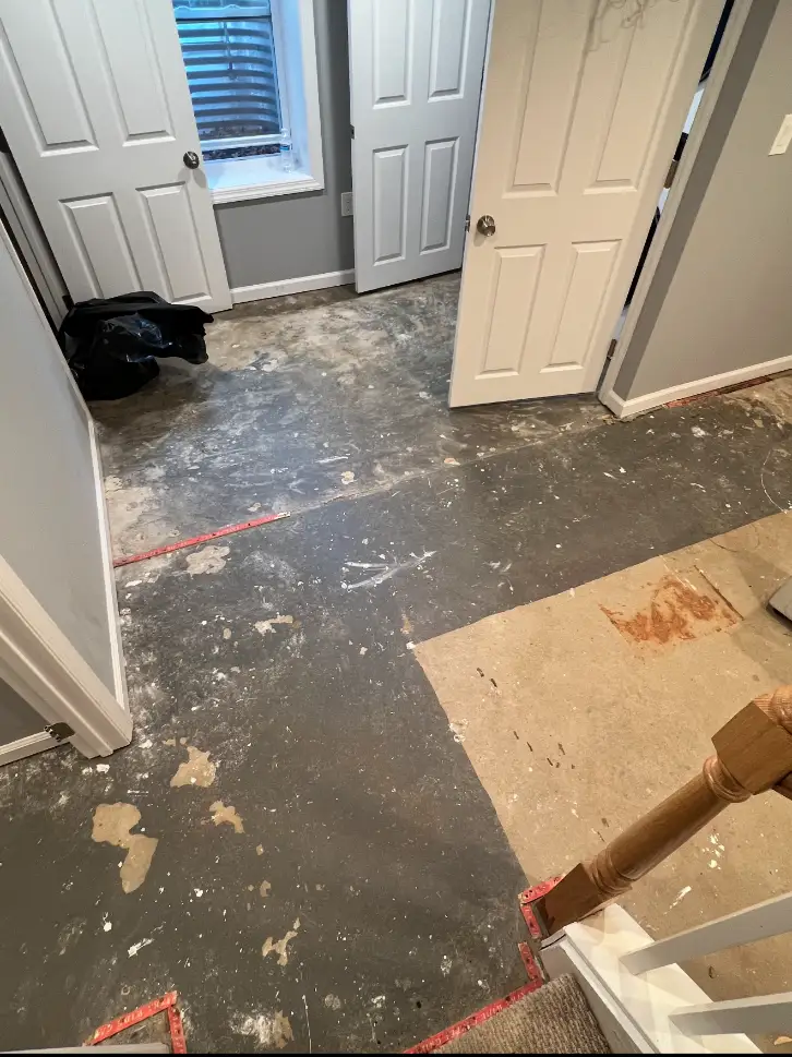 Flake Coating - Before